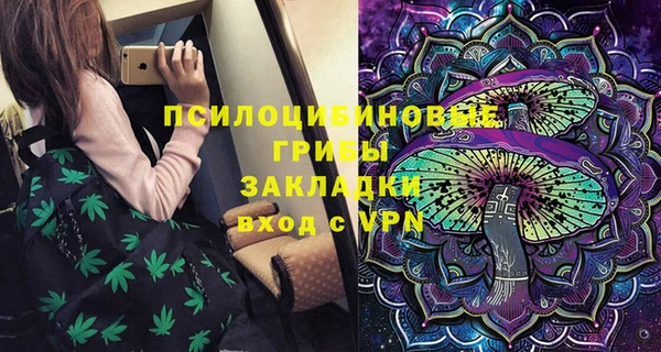 PSILOCYBIN Арсеньев