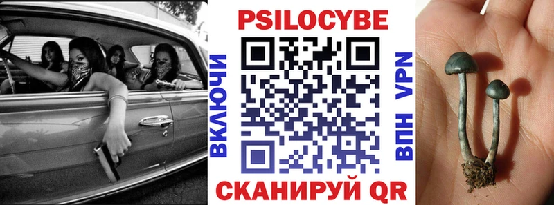 Галлюциногенные грибы Cubensis  цена наркотик  МЕГА ONION  Мосальск 